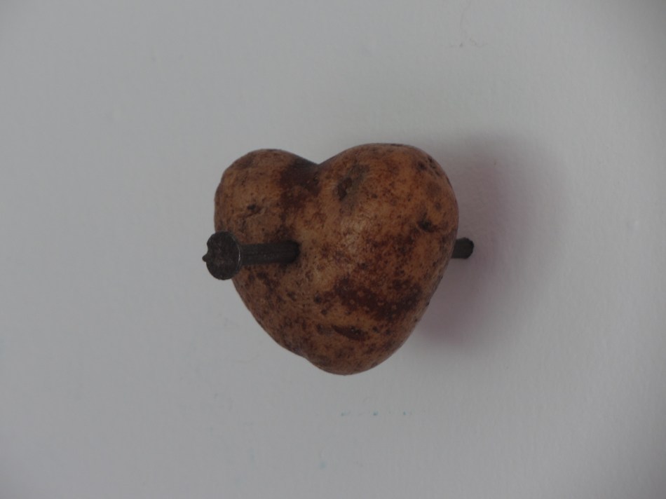 IMG_0015 - Copy (51)